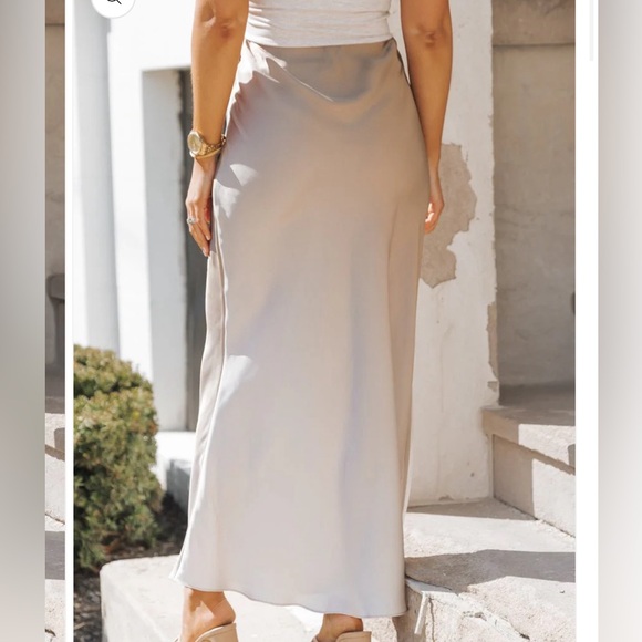 MUSE Taupe Ombre Maxi Skirt new without tags - Picture 4 of 6